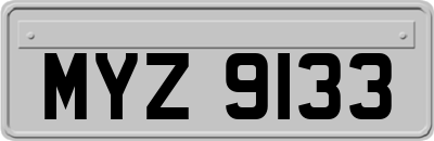 MYZ9133