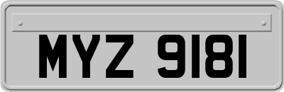 MYZ9181