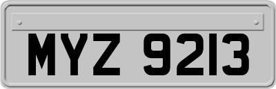 MYZ9213