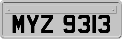 MYZ9313