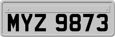MYZ9873