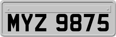 MYZ9875