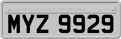 MYZ9929