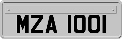 MZA1001