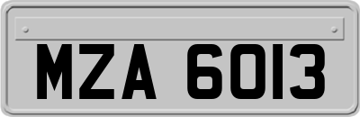 MZA6013