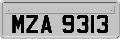 MZA9313