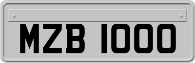 MZB1000