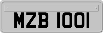 MZB1001