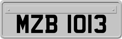 MZB1013