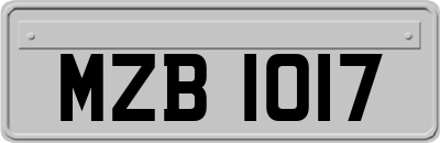 MZB1017