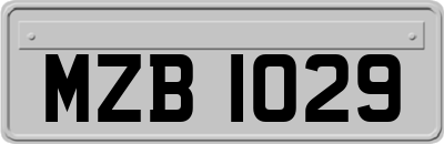 MZB1029