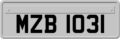 MZB1031