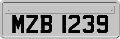 MZB1239