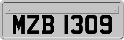 MZB1309