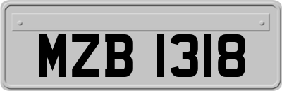 MZB1318