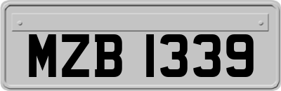 MZB1339