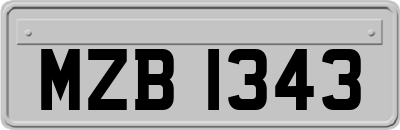 MZB1343