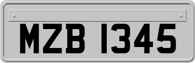 MZB1345