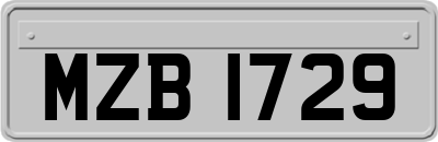 MZB1729