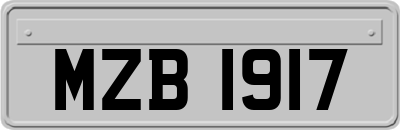 MZB1917