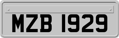 MZB1929
