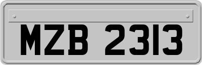 MZB2313