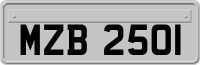 MZB2501