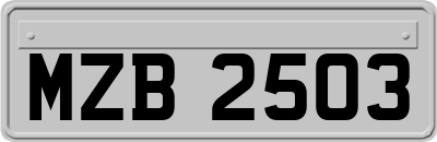 MZB2503