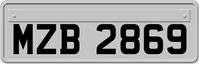 MZB2869
