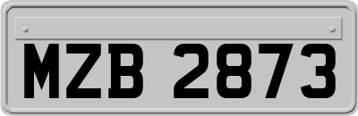 MZB2873