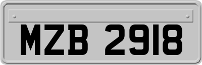 MZB2918