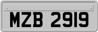 MZB2919