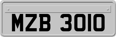 MZB3010