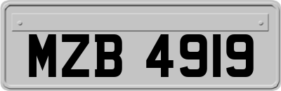 MZB4919