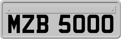MZB5000