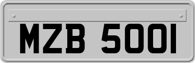 MZB5001