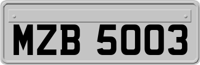 MZB5003
