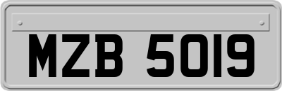 MZB5019