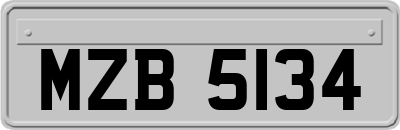 MZB5134