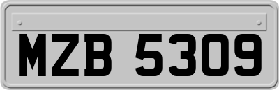 MZB5309