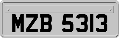 MZB5313