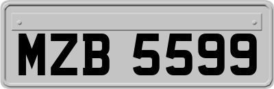 MZB5599