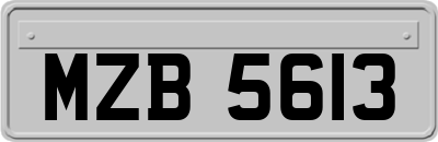 MZB5613