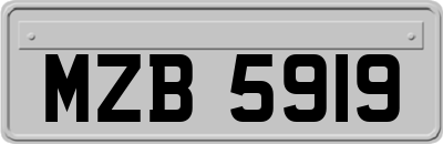 MZB5919