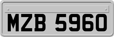 MZB5960