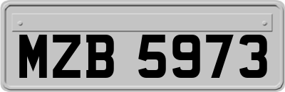 MZB5973