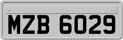 MZB6029