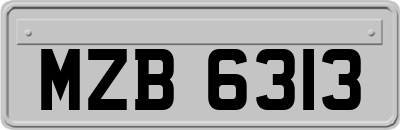 MZB6313