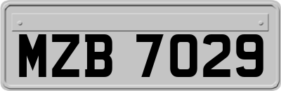 MZB7029