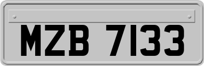 MZB7133